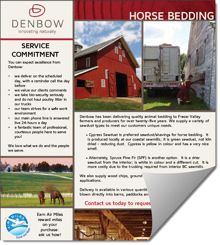 horse bedding one pager