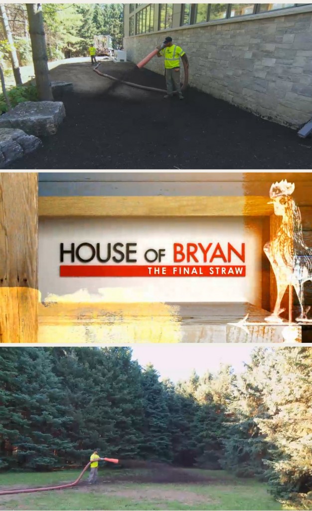 house of bryan