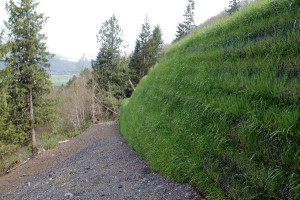 Cascadia Green Wall System