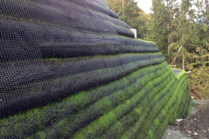 Sustainable Development - Cascadia Green Wall System