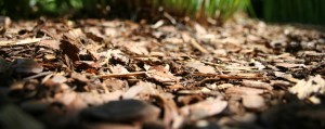 wood chips create a more stable and secure surface than pea gravel