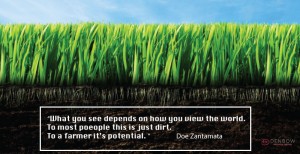 soil is incredibly important for Denbow's farming partners