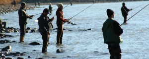 erosion control fraser river people fishing