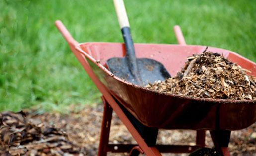 wheel barrow full of mulch