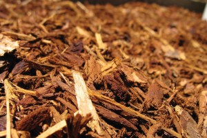 is coloured mulch safe for your garden 2