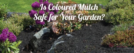 Is Coloured Mulch Safe for Your Garden - Denbow