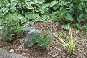 benefits-of-mulch-in-your-garden-end