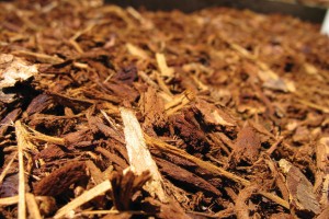 close-up-of-mulch-