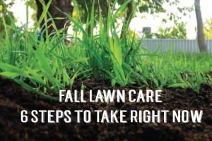 six steps for lawn care to help with spring landscaping