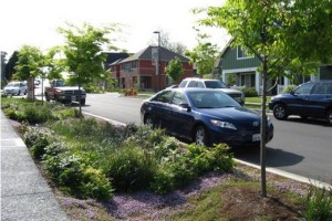 Streetside_swale_Seattle that show uses of structural soil