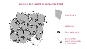 structure zone 1