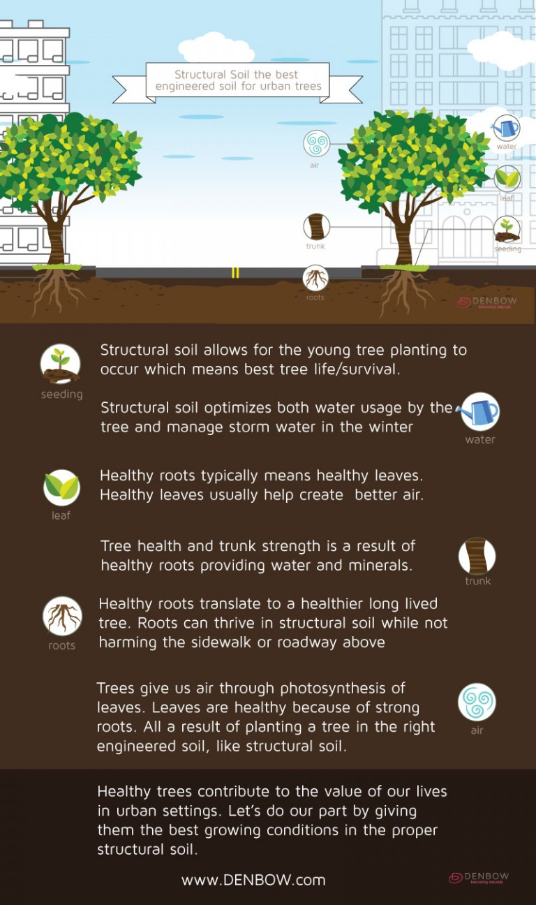 Structural Soil an infographic Denbow